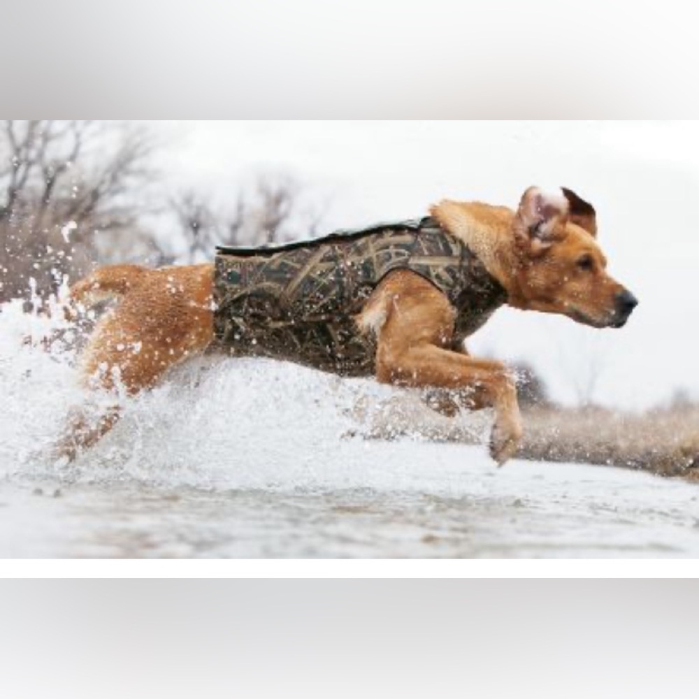 Cabela’s neoprene dog hunting vest